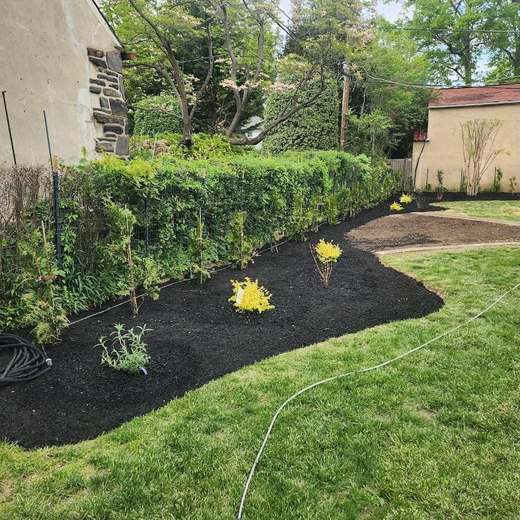 A long, freshly mulched bed with new shrubs planted along a hedge, curving through a lawn behind a stone house.