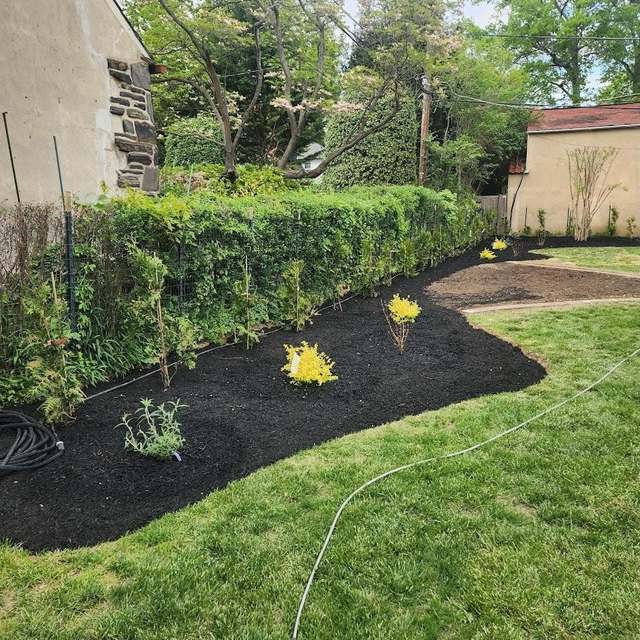 A long, freshly mulched bed with new shrubs planted along a hedge, curving through a lawn behind a stone house.