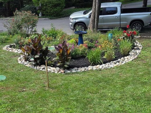 A round island bed ringed in river stone in a front lawn, planted with cannas, daylilies and annuals around a blue birdbath.