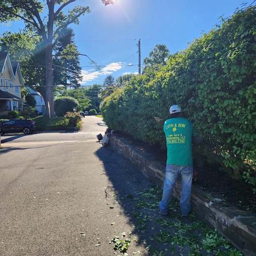 A Loth & Son crew member in a branded work shirt trimming a tall hedge above a stone wall along a residential street.