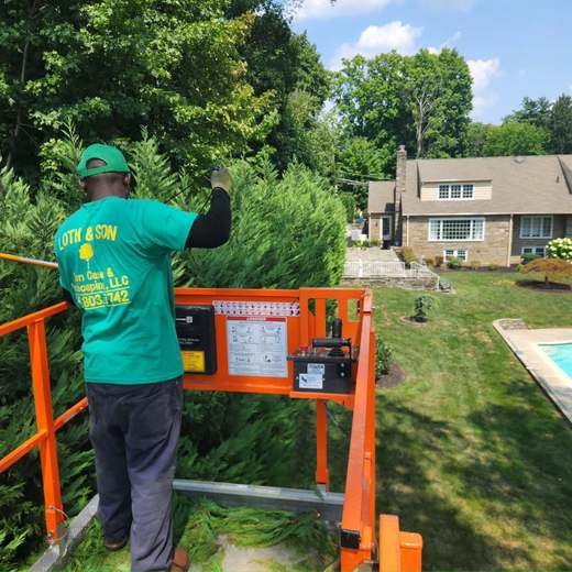 A Loth & Son crew member in a branded work shirt, shearing a row of tall arborvitae from a lift, with a stone house and pool behind him.