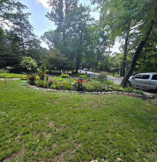 A long island planting bed with a clean cut edge running through an open lawn, with mature trees and a street beyond.