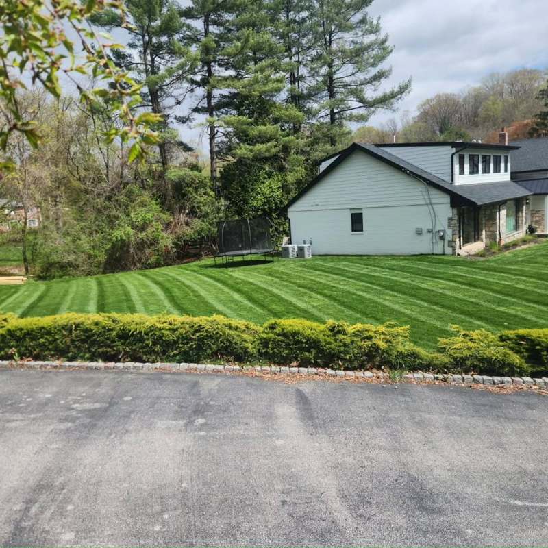 A large rear lawn cut in clean stripes, bordered by a low evergreen hedge and a granite cobble edge along the driveway.