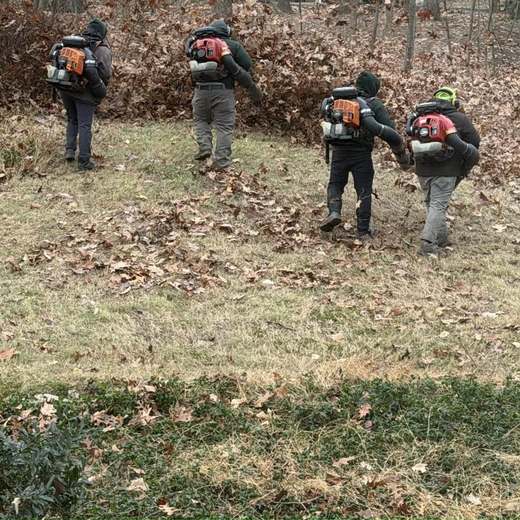 Four crew members with backpack blowers clearing fallen oak leaves from a lawn at the edge of a woodline in late autumn.