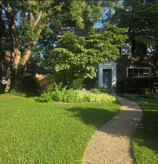 Before: an overgrown island bed around a tree in a front lawn, with a narrow gravel path running past it.