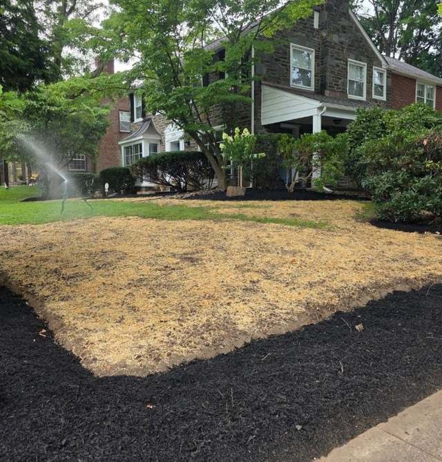 A front lawn area newly seeded and covered in straw, with a sprinkler running and a mulched bed along the house.